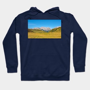 Laghi di Festons Alpine Meadow, Italy Hoodie